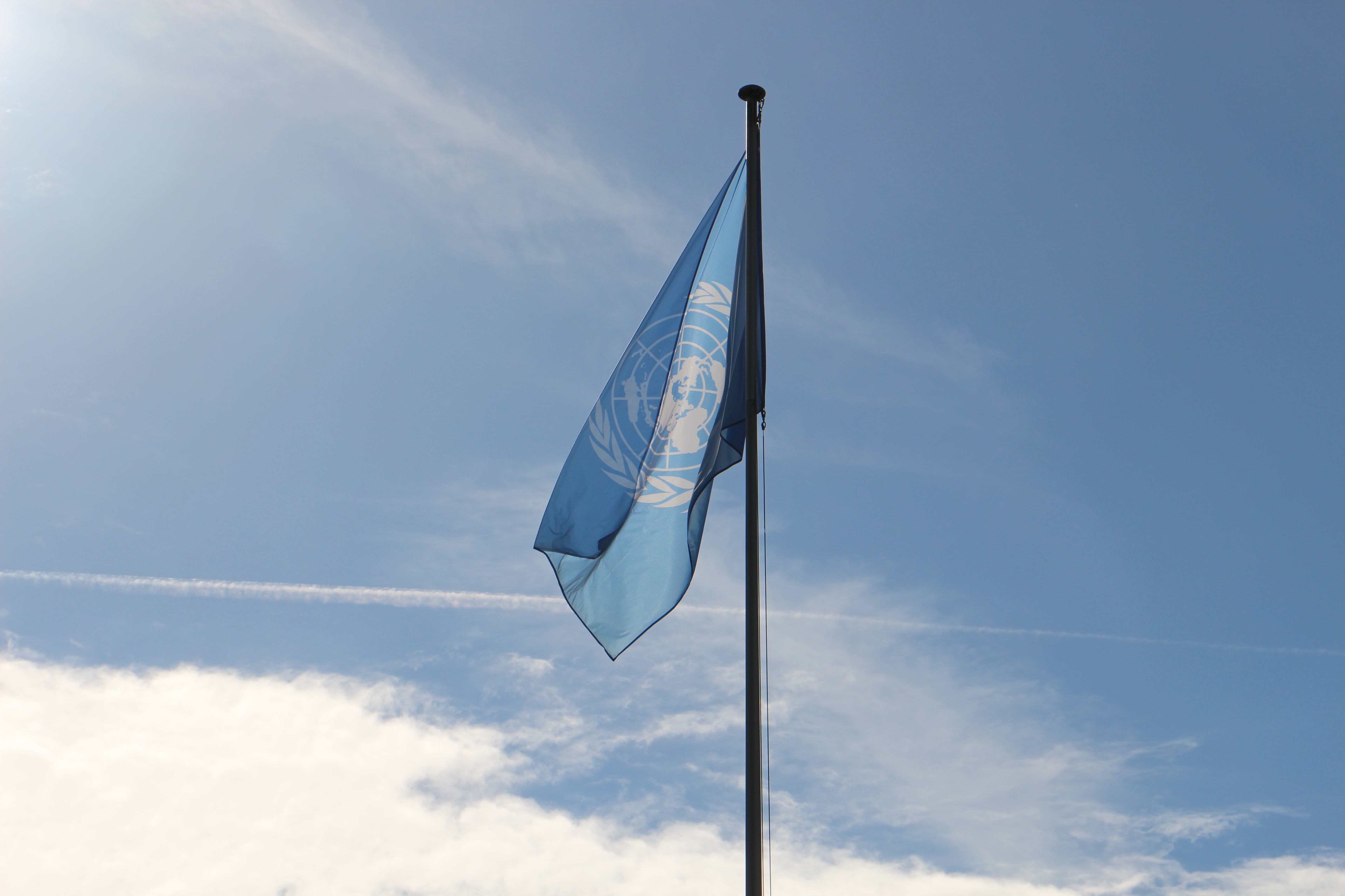 3_un-flag