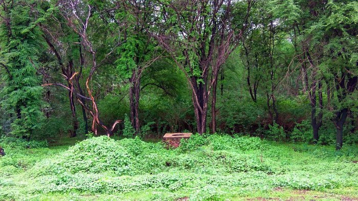 A restricted area in Chhattisgarh, India.