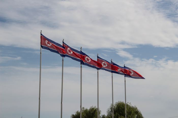 North Korea flags.